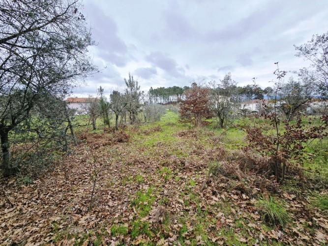 Image No.14-Terre à vendre à Pedrógão Grande