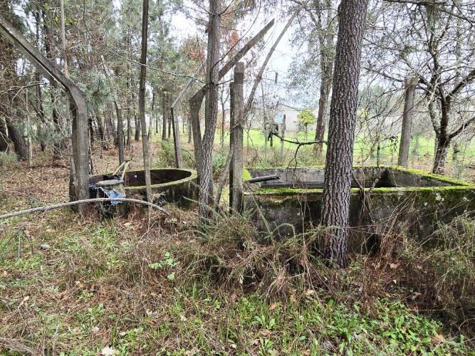 Image No.15-Terre à vendre à Pedrógão Grande