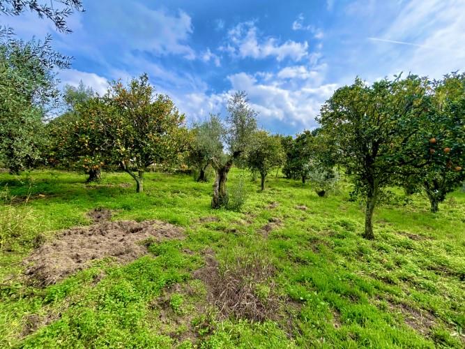 Image No.4-Plot for sale