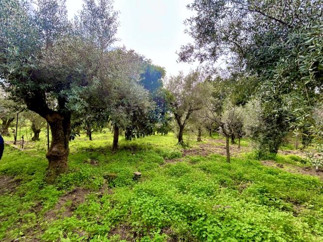 Image No.6-Plot for sale