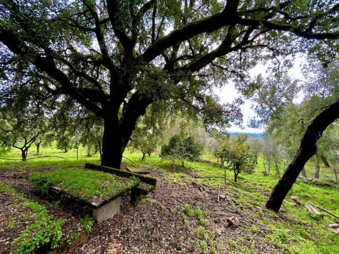 Image No.9-Plot for sale