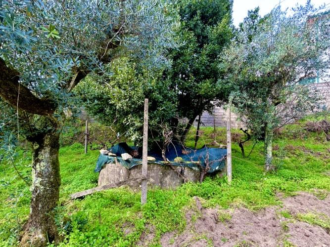 Image No.10-Plot for sale