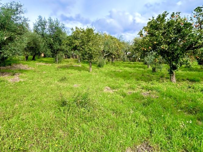 Image No.11-Plot for sale