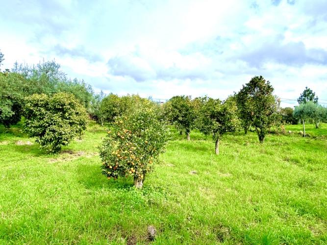 Image No.12-Plot for sale