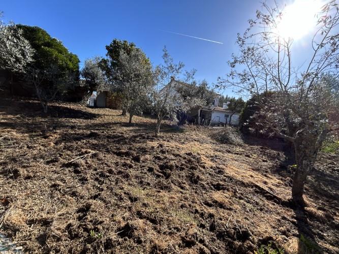 Image No.28-5 Bed Cottage for sale