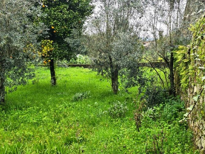 Image No.20-Country House for sale