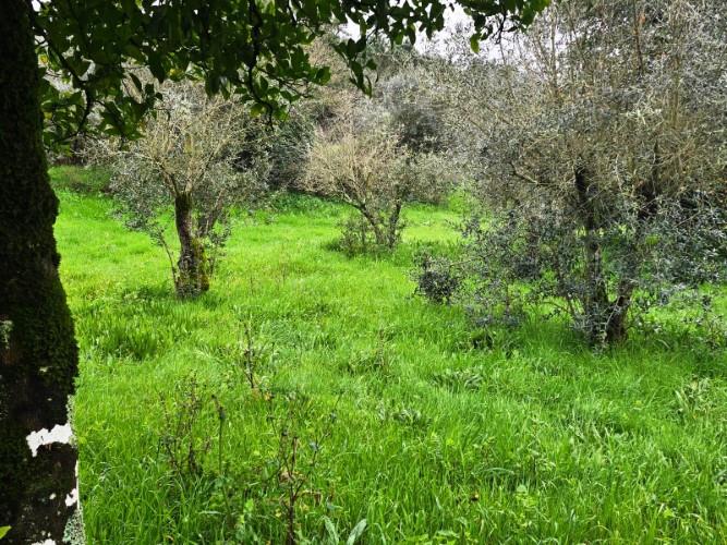 Image No.23-Country House for sale