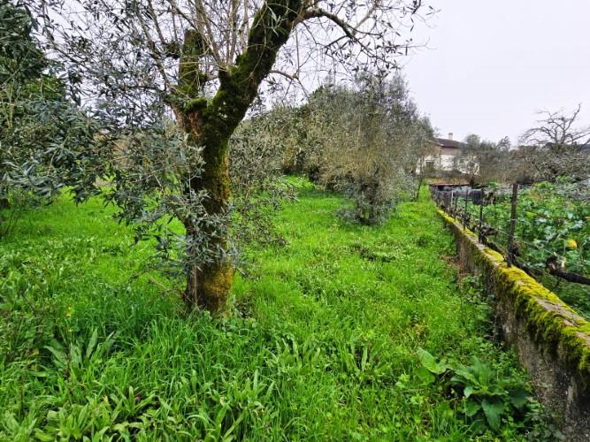 Image No.25-Country House for sale