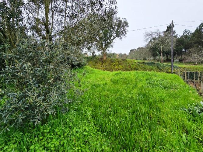 Image No.26-Country House for sale