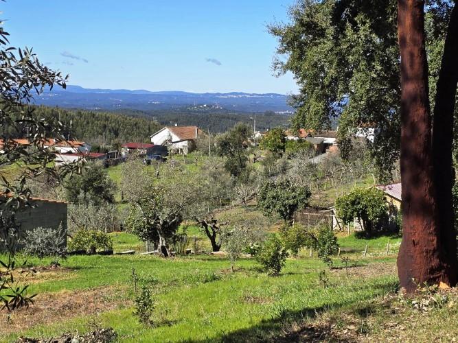 Image No.2-Terrain à vendre à Pedrógão Pequeno