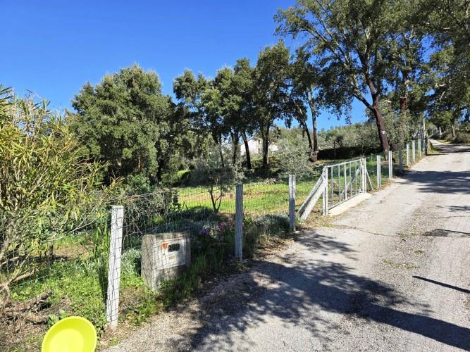 Image No.3-Terrain à vendre à Pedrógão Pequeno