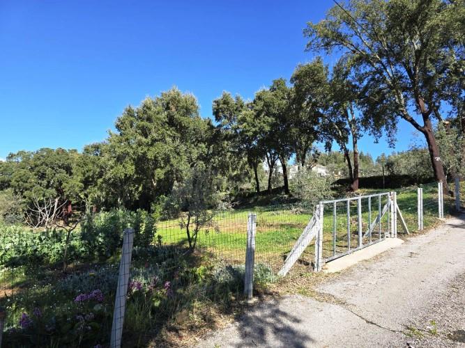 Image No.5-Terrain à vendre à Pedrógão Pequeno