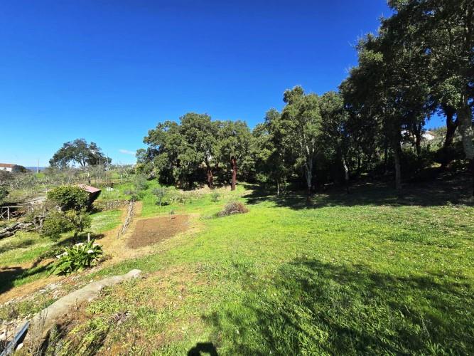 Image No.10-Terrain à vendre à Pedrógão Pequeno