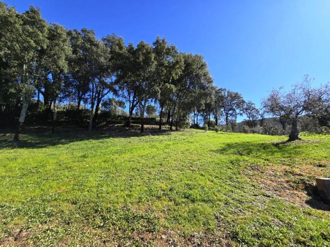 Image No.12-Terrain à vendre à Pedrógão Pequeno