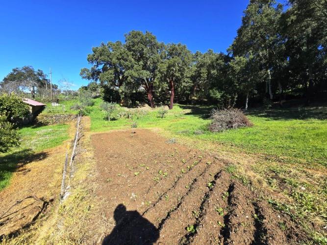 Image No.11-Terrain à vendre à Pedrógão Pequeno