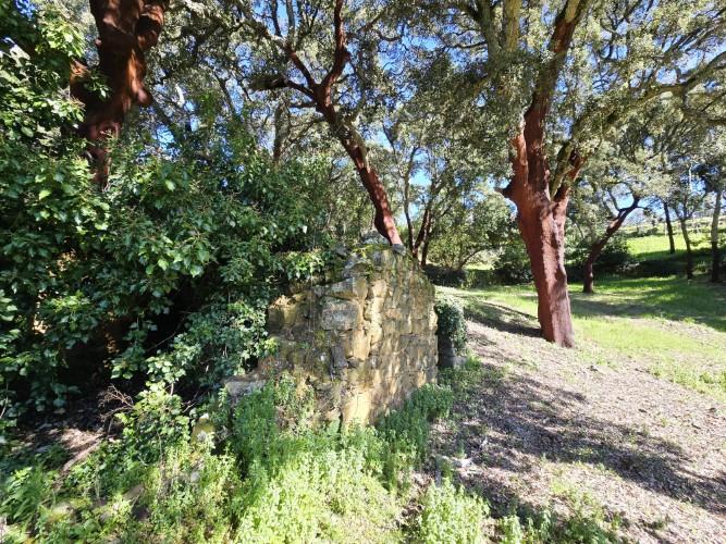 Image No.14-Terrain à vendre à Pedrógão Pequeno