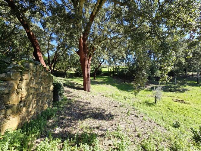 Image No.15-Terrain à vendre à Pedrógão Pequeno