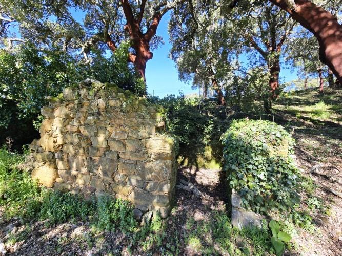 Image No.16-Terrain à vendre à Pedrógão Pequeno