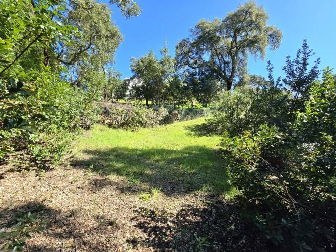 Image No.19-Terrain à vendre à Pedrógão Pequeno