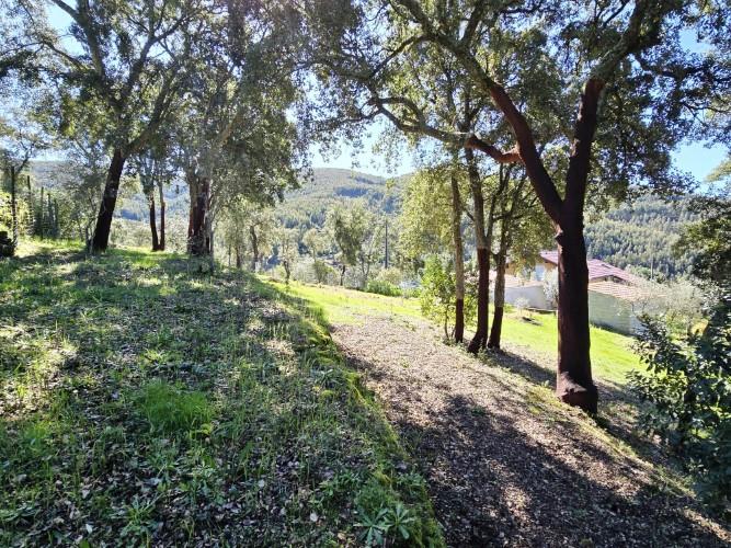 Image No.23-Terrain à vendre à Pedrógão Pequeno