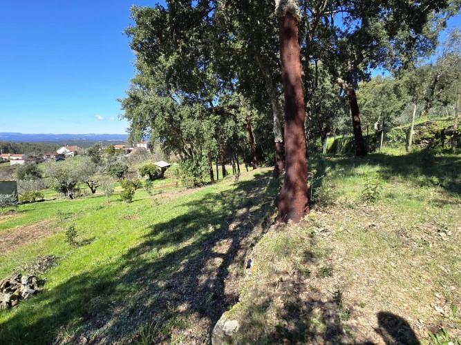 Image No.24-Terrain à vendre à Pedrógão Pequeno