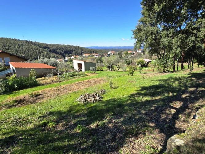 Image No.25-Terrain à vendre à Pedrógão Pequeno