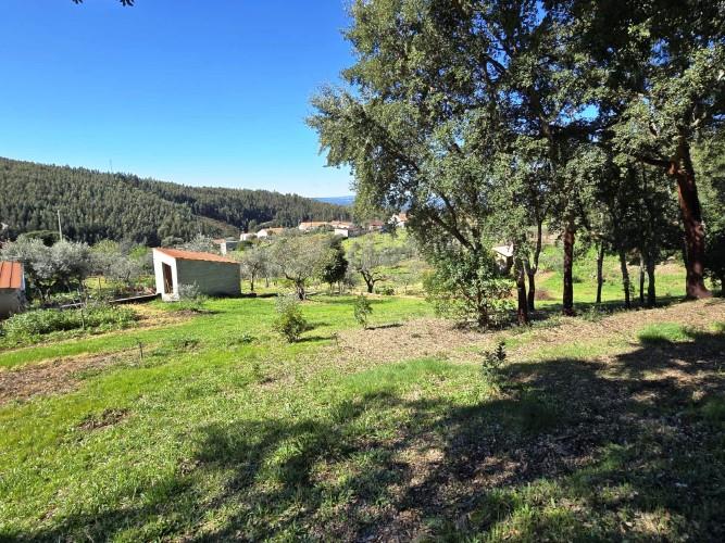 Image No.26-Terrain à vendre à Pedrógão Pequeno