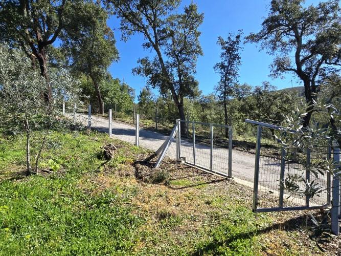 Image No.28-Terrain à vendre à Pedrógão Pequeno