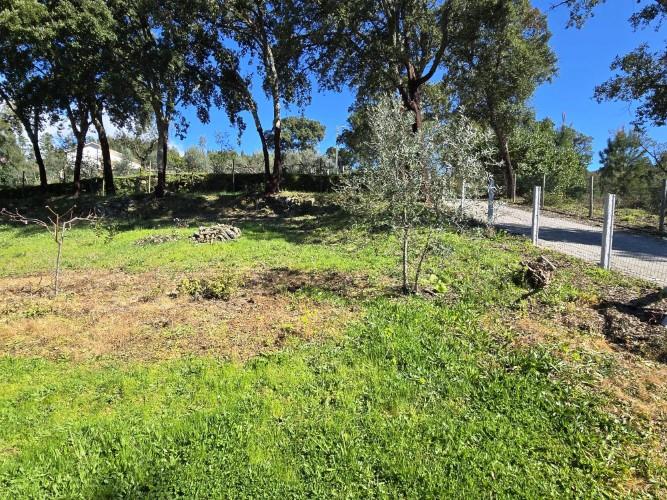 Image No.29-Terrain à vendre à Pedrógão Pequeno