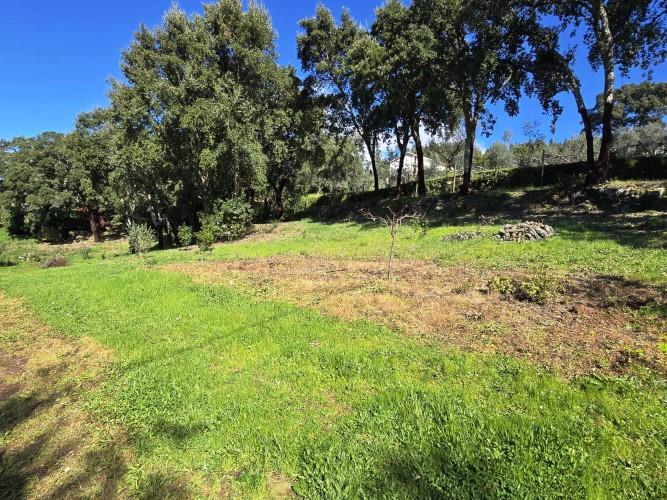 Image No.30-Terrain à vendre à Pedrógão Pequeno