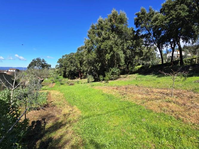 Image No.31-Terrain à vendre à Pedrógão Pequeno