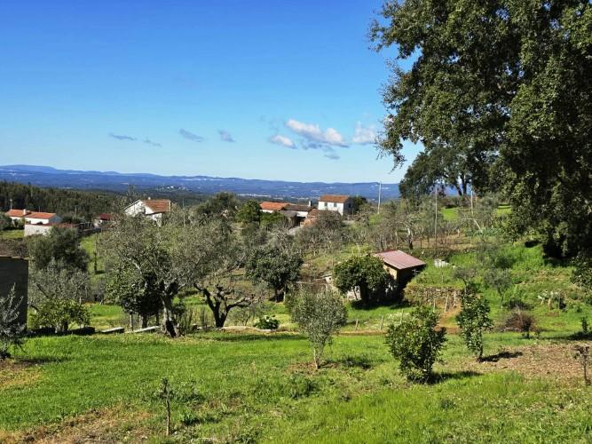 Image No.32-Terrain à vendre à Pedrógão Pequeno