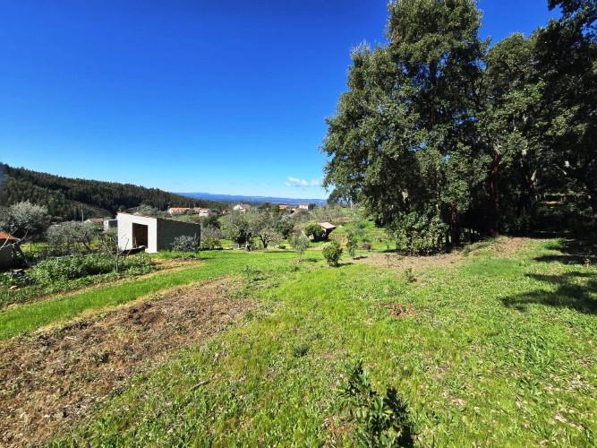 Image No.33-Terrain à vendre à Pedrógão Pequeno