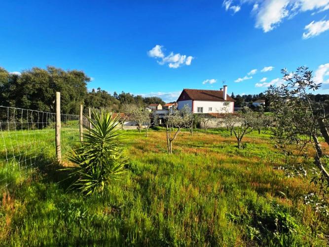 Image No.4-Maison de 4 chambres à vendre à Tomar