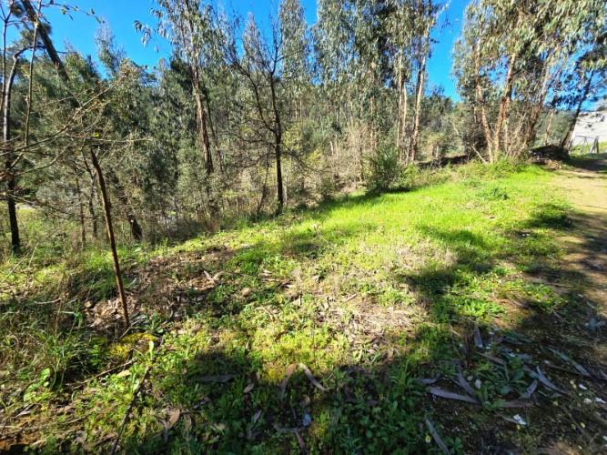 Image No.17-Plot for sale