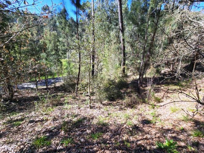 Image No.21-Plot for sale