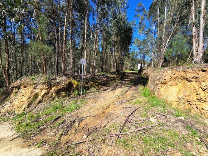 Image No.24-Plot for sale