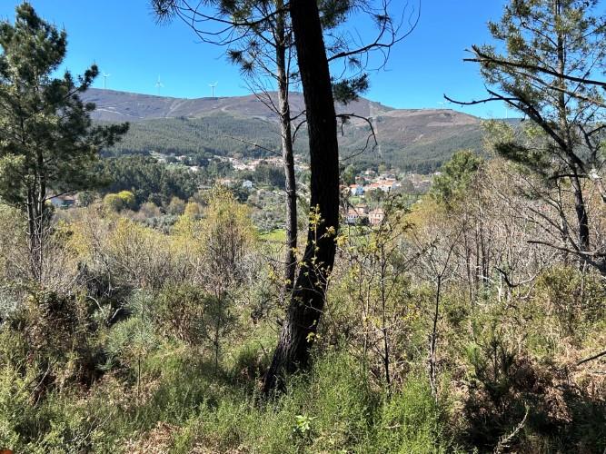 Image No.7-Plot for sale