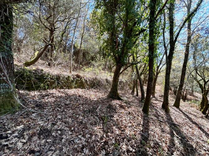 Image No.8-Plot for sale