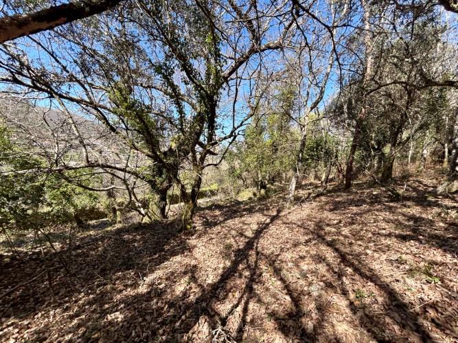 Image No.9-Plot for sale