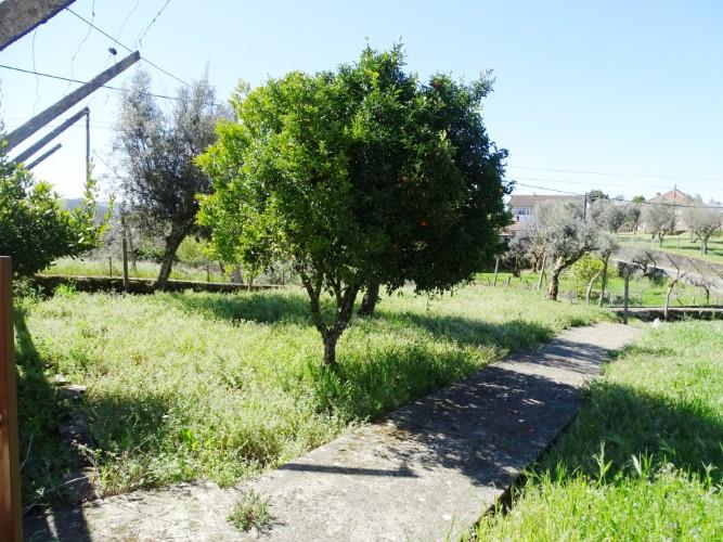 Image No.45-3 Bed Village House for sale