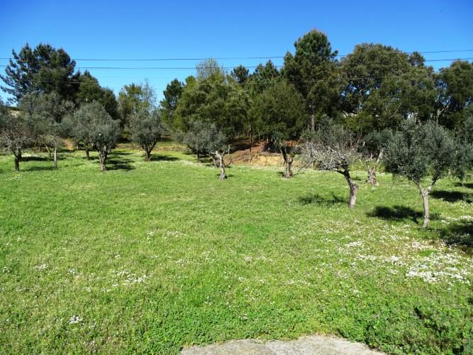 Image No.51-3 Bed Village House for sale