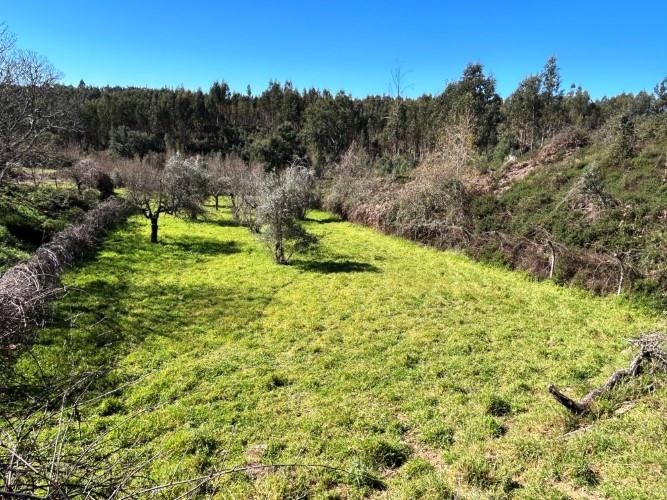 Image No.32-4 Bed Farmhouse for sale