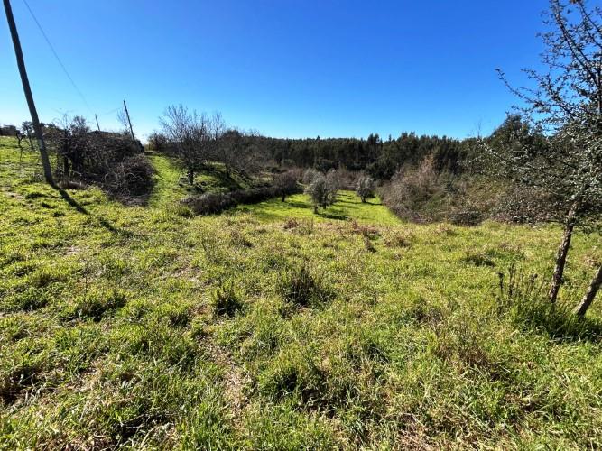 Image No.33-4 Bed Farmhouse for sale