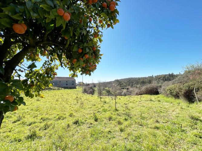 Image No.34-4 Bed Farmhouse for sale