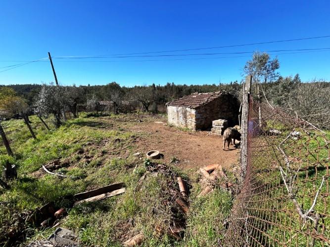 Image No.37-4 Bed Farmhouse for sale