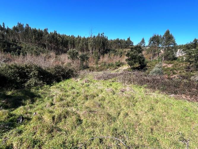 Image No.39-4 Bed Farmhouse for sale