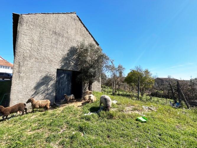 Image No.2-Land for sale
