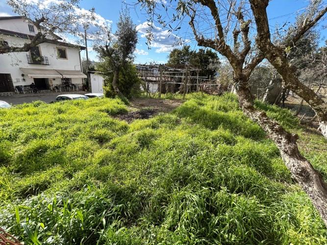 Image No.31-2 Bed Village House for sale