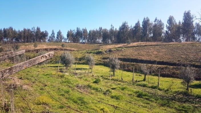 Image No.24-4 Bed Farmhouse for sale